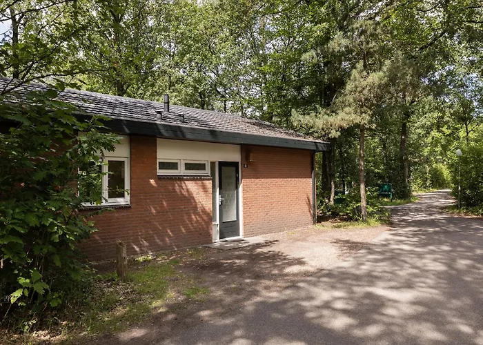 In Near Veluwe Nature Park Putten