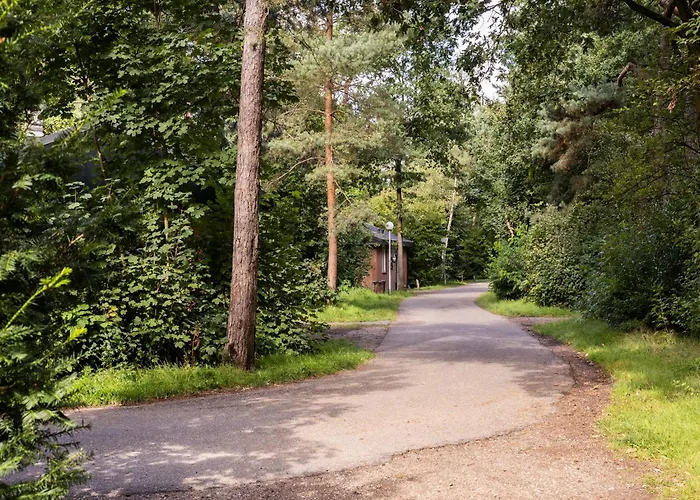 In Near Veluwe Nature Park * Putten