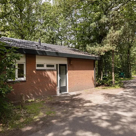 In Near Veluwe Nature Park Putten