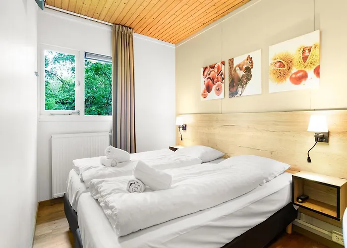 In Near Veluwe Nature Park Пюттен